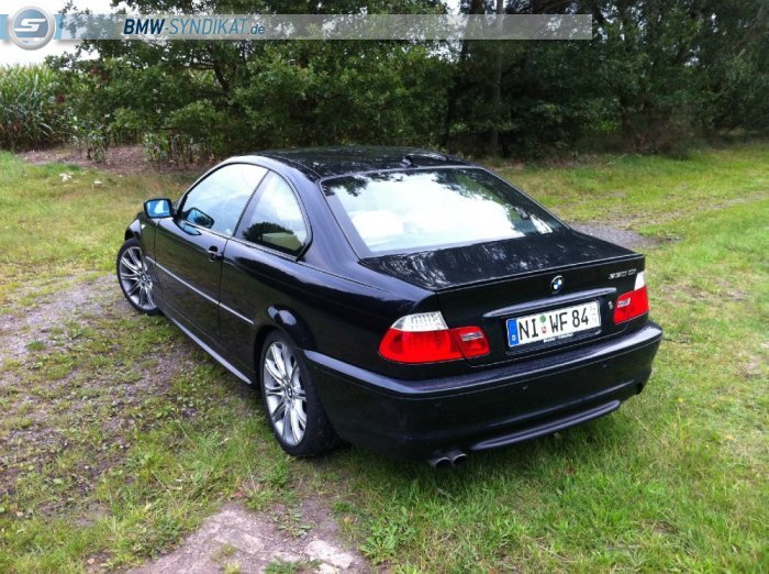 Wie Phoenix aus der Asche - 3er BMW - E46