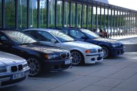 Traditioneller 3er - E46 325i - 3er BMW - E46 - Synd2.jpg