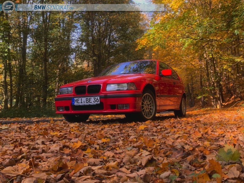 316i E36 Compact M Technik - 3er BMW - E36