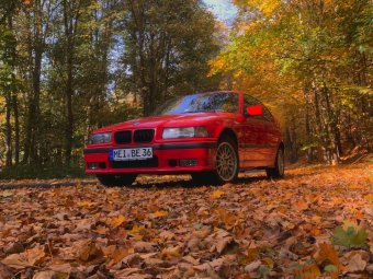 316i_E36_Compact_M_Technik BMW-Syndikat Fotostory