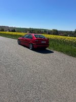 316i E36 Compact M Technik - 3er BMW - E36 - IMG_0593.jpeg