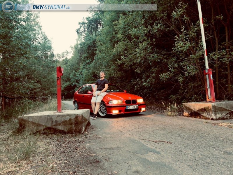 316i E36 Compact M Technik - 3er BMW - E36