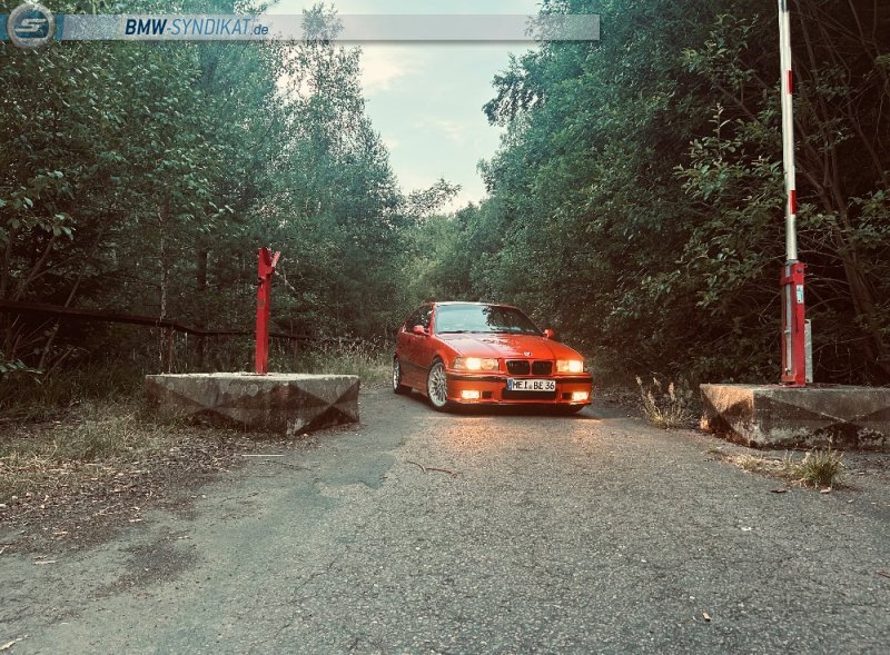 316i E36 Compact M Technik - 3er BMW - E36