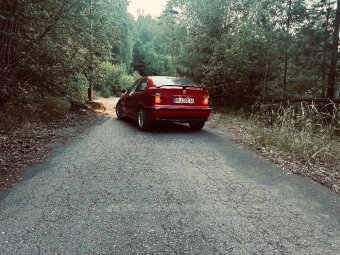 316i E36 Compact M Technik - 3er BMW - E36