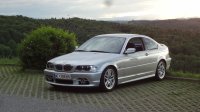 BMW e46 320Ci Wiederbelebung - 3er BMW - E46 - DSC03366.JPG