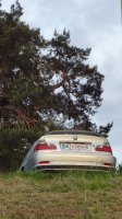 BMW e46 320Ci Wiederbelebung - 3er BMW - E46 - DSC03386.JPG