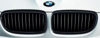 BMW Nieren Schwarz