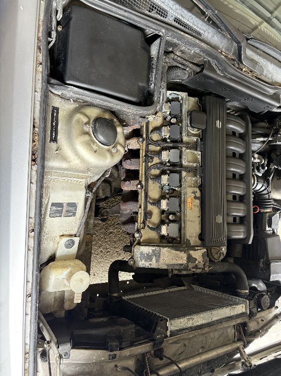 E34 525i 1991 erweckt aus Dornr�schenschlaf - 5er BMW - E34