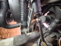 E34 525i 1991 erweckt aus Dornr�schenschlaf - 5er BMW - E34 - kabelGelötet.jpg