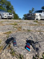 E34 525i 1991 erweckt aus Dornr�schenschlaf - 5er BMW - E34 - IMG_7197.jpg