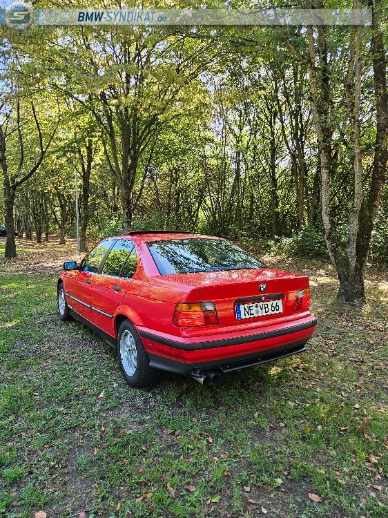 E36 316i M-Optik Hellrot - 3er BMW - E36