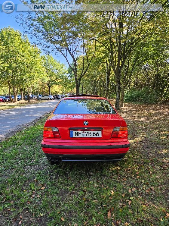 E36 316i M-Optik Hellrot - 3er BMW - E36