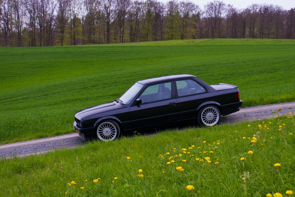 318is fast original - 3er BMW - E30