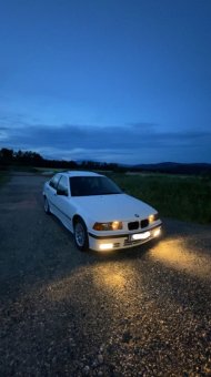 dominike36318i