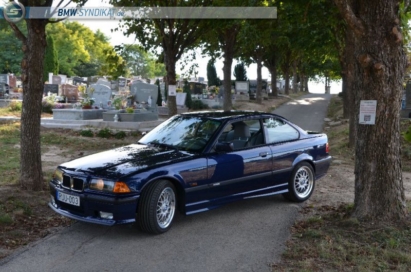 E36 325i "Avus" Motorsport Edition - 3er BMW - E36 E36 325i "Avus" Motorsport Edition - 3er BMW - E36