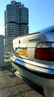 .::323ti SLE::. - 3er BMW - E36