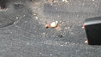 E46 325ti Rolling RestoMod - 3er BMW - E46 E46 325ti Rolling RestoMod - 3er BMW - E46