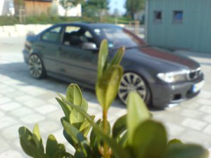 330ci  SMG SportEdition - 3er BMW - E46