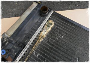 318ti "Daily Bitch" goes OEM - 3er BMW - E36 318ti "Daily Bitch" goes OEM - 3er BMW - E36