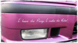Individual Lila Metallic > Saisonabschlu - 3er BMW - E36