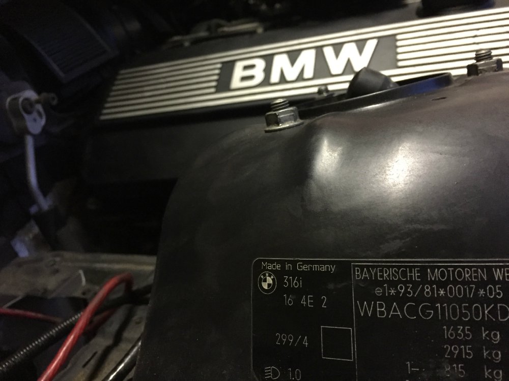 Mein 323ti Projekt... - 3er BMW - E36