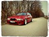 E39 528i - Back to the Roots... - 5er BMW - E39 - IMG_2948.jpg
