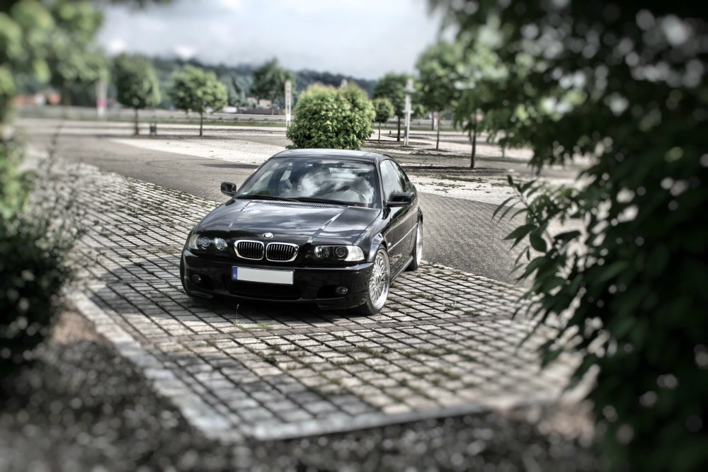 Daily 330ci Coupe - 3er BMW - E46