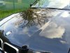 Neues Cab im Syndikat - 3er BMW - E36 - 20140427_191723.jpg