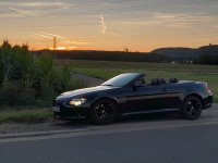 BMW-Syndikat Fotostory - Mein 6er Cabrio 630i