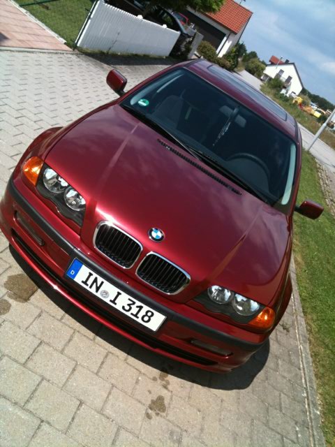 E46 Limo "sienarot" - 3er BMW - E46