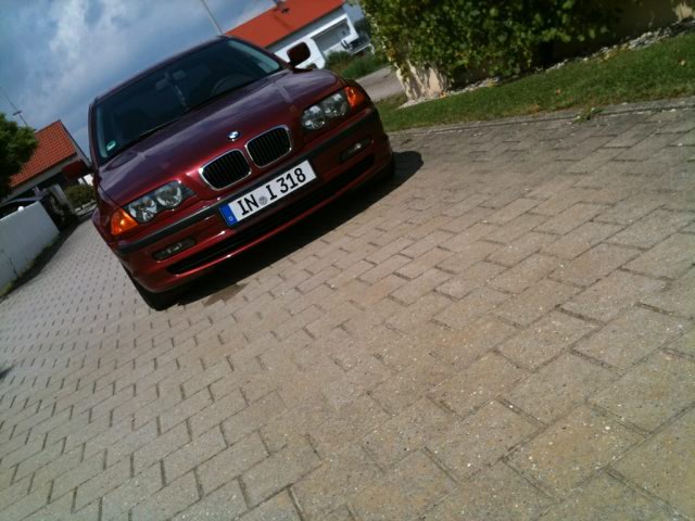 E46 Limo "sienarot" - 3er BMW - E46