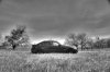 My BLACK SAPHYR (Neu Mit Video) - 3er BMW - E90 / E91 / E92 / E93 - DSC_0051_tonemapped.jpg