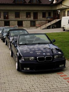 BMW E36 330 231KM ! - 3er BMW - E36