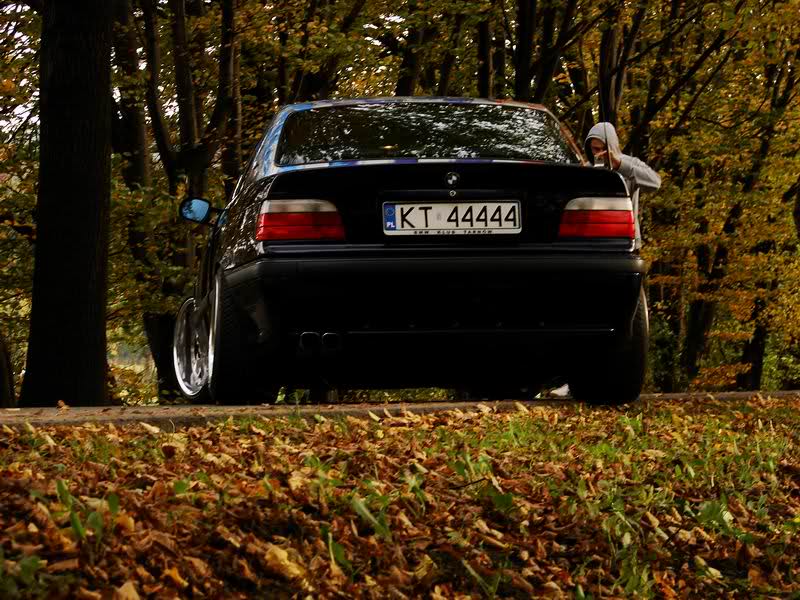 BMW E36 330 231KM ! - 3er BMW - E36