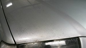 E36 323i Touring - Die Rettung...! - 3er BMW - E36 E36 323i Touring - Die Rettung...! - 3er BMW - E36
