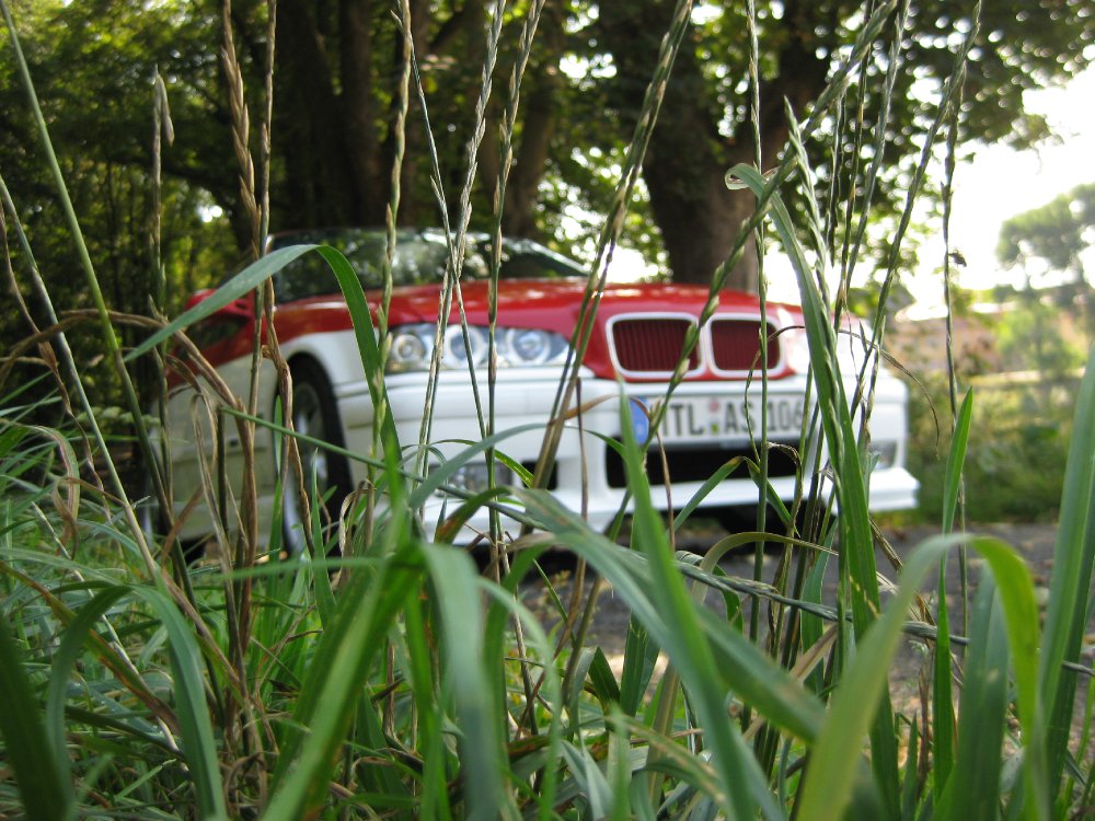 E36 Compact ROT-WEISS - 3er BMW - E36