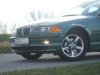 THE GREEN SIDE OF LIFE ;) - 3er BMW - E46 - DSCF1447.JPG