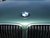 THE GREEN SIDE OF LIFE ;) - 3er BMW - E46 - DSCF1455.JPG