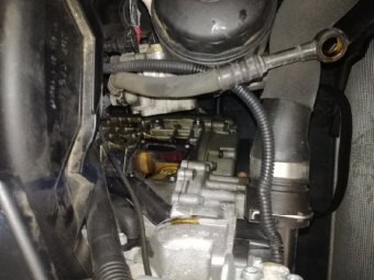 Freude am "oben ohne" fahren - 3er BMW - E46