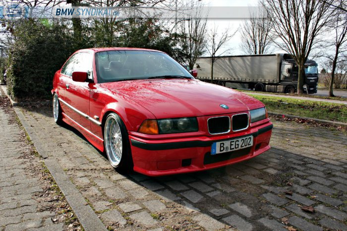 Daily E36 316i Coupe - 3er BMW - E36