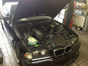 Beamer Brotherz sagen DANKE - Sold - - 3er BMW - E36