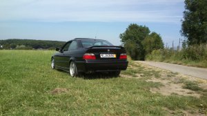 325 Avus Motorsport Edition - 3er BMW - E36 325 Avus Motorsport Edition - 3er BMW - E36