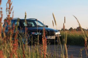 E46 320d Touring - .. black & yellow .. - 3er BMW - E46