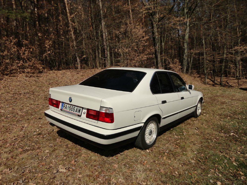 Original BMW 525i E34 M50 - 5er BMW - E34