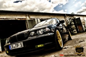 "Daily Bitch" - 3er BMW - E46
