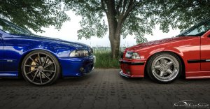 Mein 323ti Compact - 3er BMW - E36