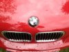Mein "Roter Teufel" neue Story 2012 - 3er BMW - E46 - IMG_0085.jpg
