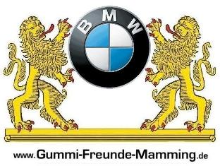 e36 325i Rallyeauto - 3er BMW - E36
