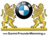 e36 325i Rallyeauto - 3er BMW - E36 - externalFile.jpg