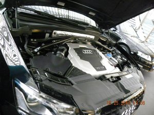Black Mamba - Q5 3.0 Tdi - Fremdfabrikate Black Mamba - Q5 3.0 Tdi - Fremdfabrikate